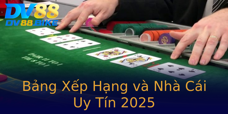 Bảng Xếp Hạng và Nhà Cái Uy Tín 2025