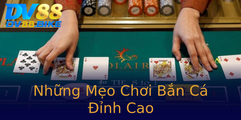 Những Mẹo Chơi Bắn Cá Đỉnh Cao