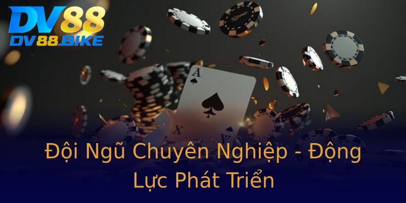 Đội Ngũ Chuyên Nghiệp - Động Lực Phát Triển