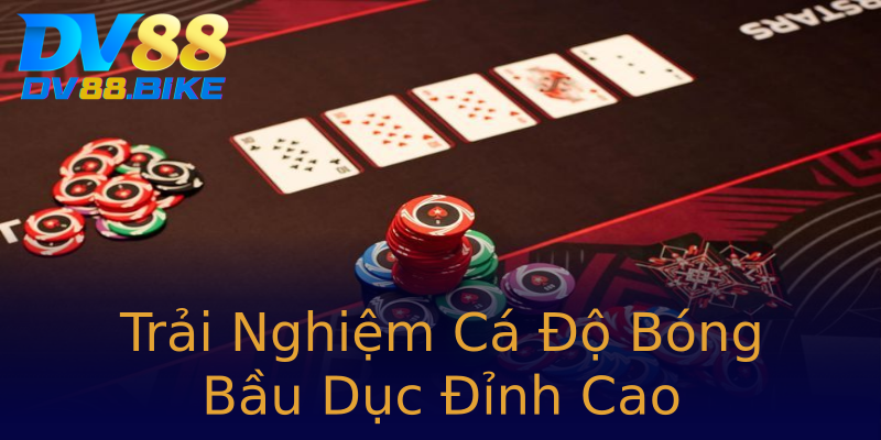 Trải Nghiệm Cá Độ Bóng Bầu Dục Đỉnh Cao